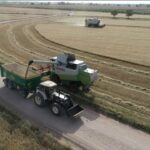 La siega en La Mancha a vista de dron