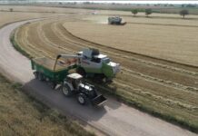 La siega en La Mancha a vista de dron