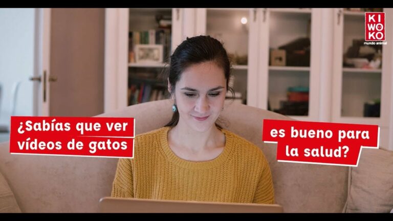 [VÍDEO] Los increíbles beneficios de ver vídeos de gatitos en Internet