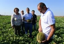 El consejero de Agricultura insta a seguir trabajando en la promoción de la marca IGP Melón de La Mancha