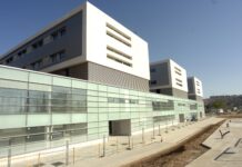 Prevenir, fundamental para evitar los casos de lesión medular