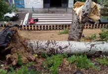 Agosto de 2018 bate récord de rayos y tormentas en lo que va de siglo