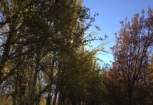 El inicio del otoño en C-LM será parecido al verano que hemos vivido