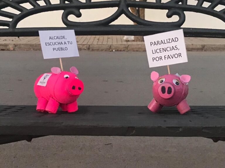 Reparten casi 2.000 cerditos por un pueblo de Cuenca para mostrar su descontento por las macrogranjas