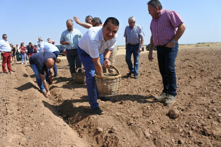 ‘Bioazafrán’ empieza la plantación de azafrán ecológico con DO La Mancha ‘Bioazafrán’ empieza la plantación de azafrán ecológico con DO La Mancha