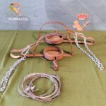 Investigados por colocar lazos y cepo para matar animales silvestres en un municipio de Ciudad Real