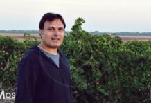 La DO Mancha reconoce que los precios de la uva “son algo bajos” pero en eso las cooperativas “poco pueden hacer”