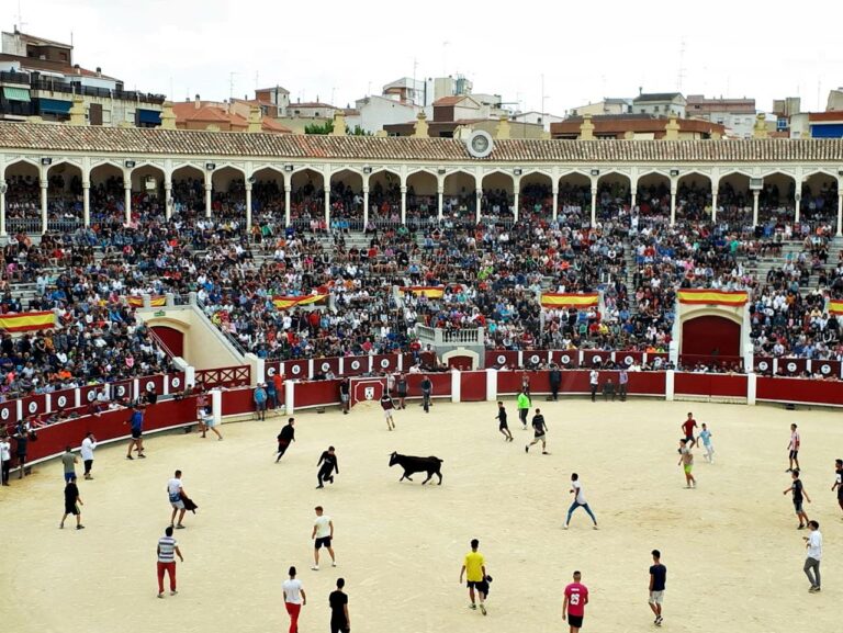 [FOTOS] Lleno en el primer día de vaquillas de la Feria de Albacete