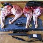 Investigados por cazar furtivamente a un ciervo cerca del Parque Natural de Cabañeros