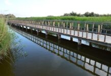 Las ayudas para las zonas de influencia de los Parques Nacionales se abrirán desde mañana