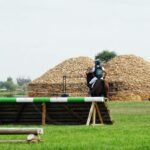 Cerca de 100 caballos de toda España, reunidos en un Concurso de Yeguada Los Arcangeles