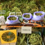 Pillado en Argamasilla de Alba con 360 kg de marihuana y 9 kg de cogollos