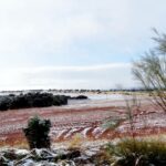 Llegan las primeras nieves a Ruidera