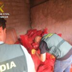 Detenidos por la Guardia Civil de Cuenca por vender arsenito falso a los agricultores