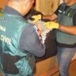 Detenidos por la Guardia Civil de Cuenca por vender arsenito falso a los agricultores