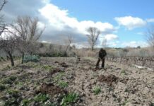 Las ayudas de la PAC de la campaña 2018 se recibirán desde este martes