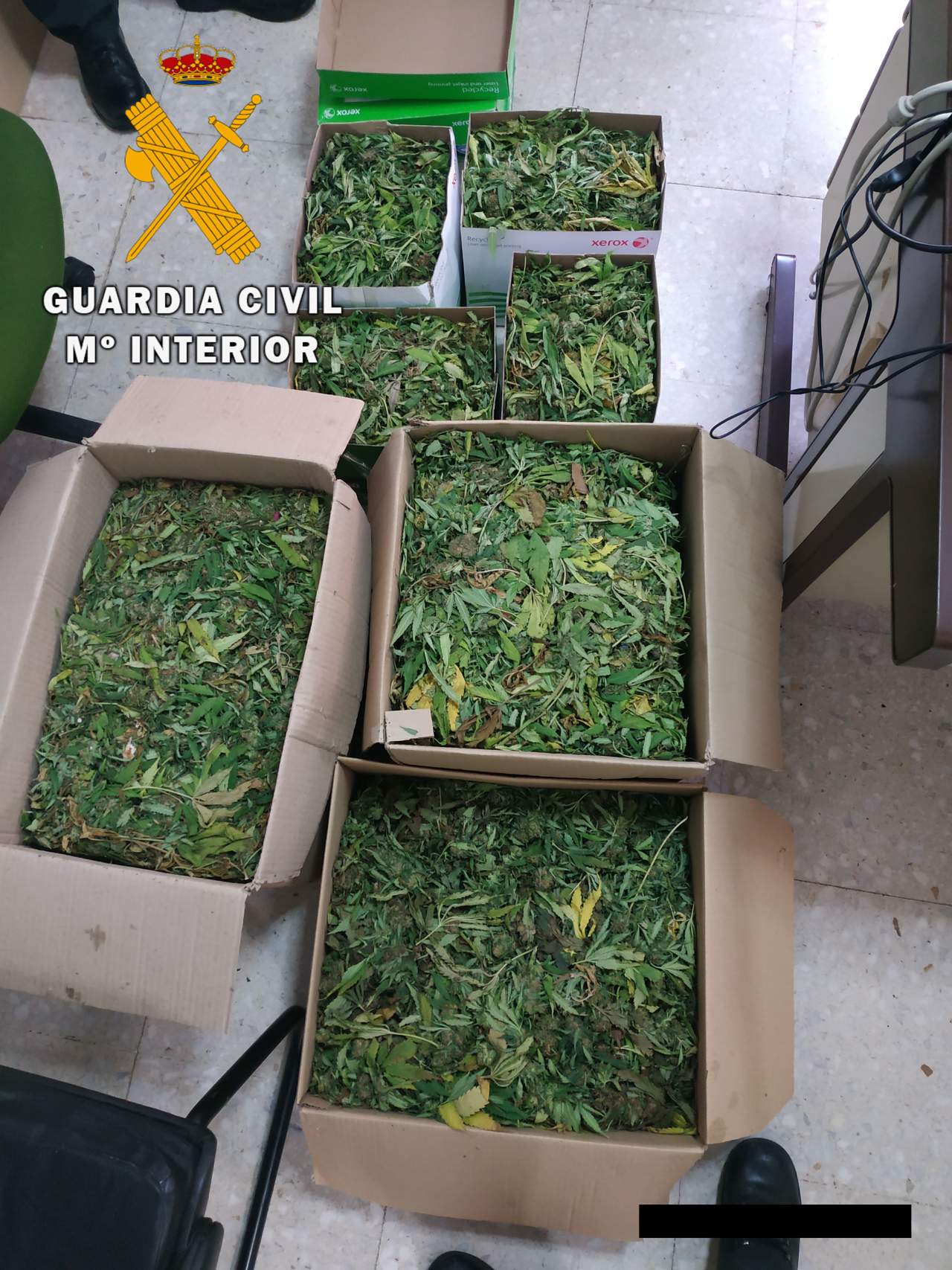 Pillados con casi 50 kilos de marihuana en las localidades toledanas de Sonseca y Polán