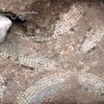 Iniciado el procedimiento para la restauración de un mosaico romano en Terrinches (Ciudad Real)