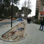 La caída de un árbol en Albacete capital obliga a cortar el tráfico
