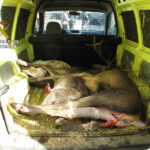 Modificaban armas de fuego para venderlas y robaban en explotaciones agrícolas en Ciudad Real