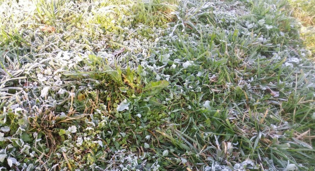 frio heladas invierno el tiempo