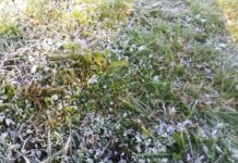 Un jueves con heladas débiles en zonas altas del nordeste de Castilla-La Mancha