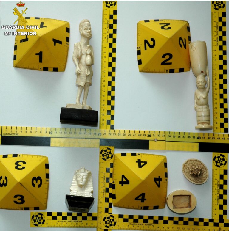 Investigado en Cuenca tras intentar vender figuras de marfil de especies protegidas