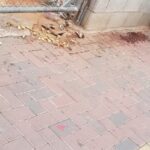 El Ayuntamiento San Clemente aclara que se multará a quienes dejen comida en la calle