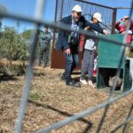 El lince ibérico regresa al Parque Nacional de Cabañeros 50 años después