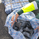 Pillados por la Guardia Civil de Albacete con 60 kilos de hachís en la autovía A-43