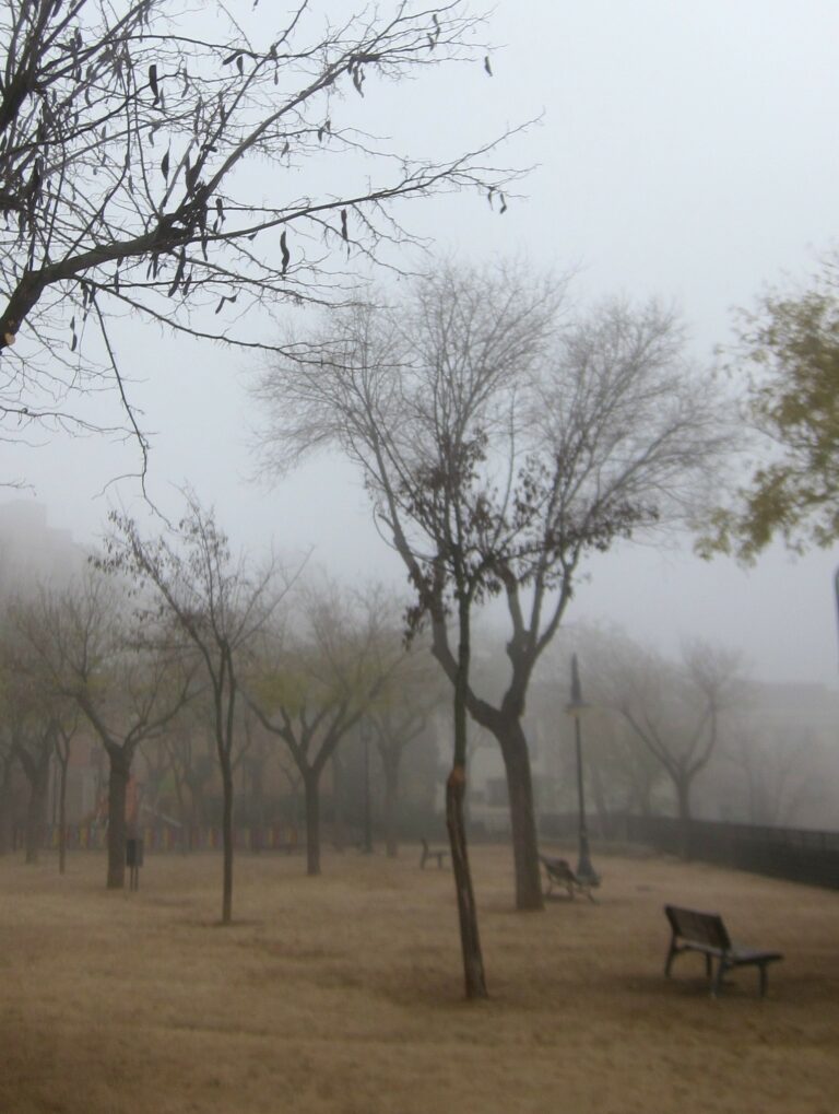 Este sábado en Castilla-La Mancha: bancos de niebla por la mañana y mínimas sin cambios