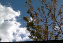 ¿Qué temperaturas nos esperan para este fin de semana en Castila-La Mancha?