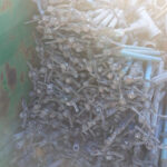 Merodeaban de madrugada por zonas agrícolas de La Mancha conquense para robar material