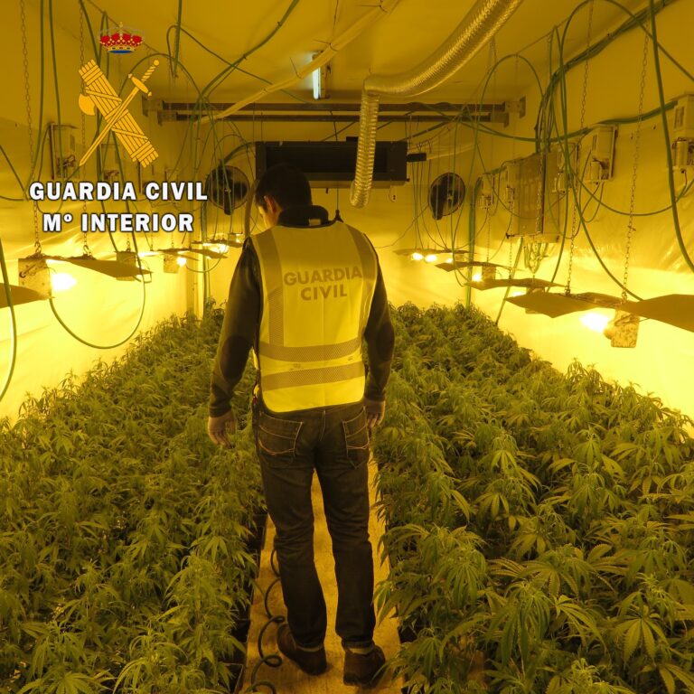 Desmantelan una plantación de marihuana en un pueblo de Toledo