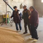 Asaja Cuenca alerta de la «grave situación» del sector de la lenteja