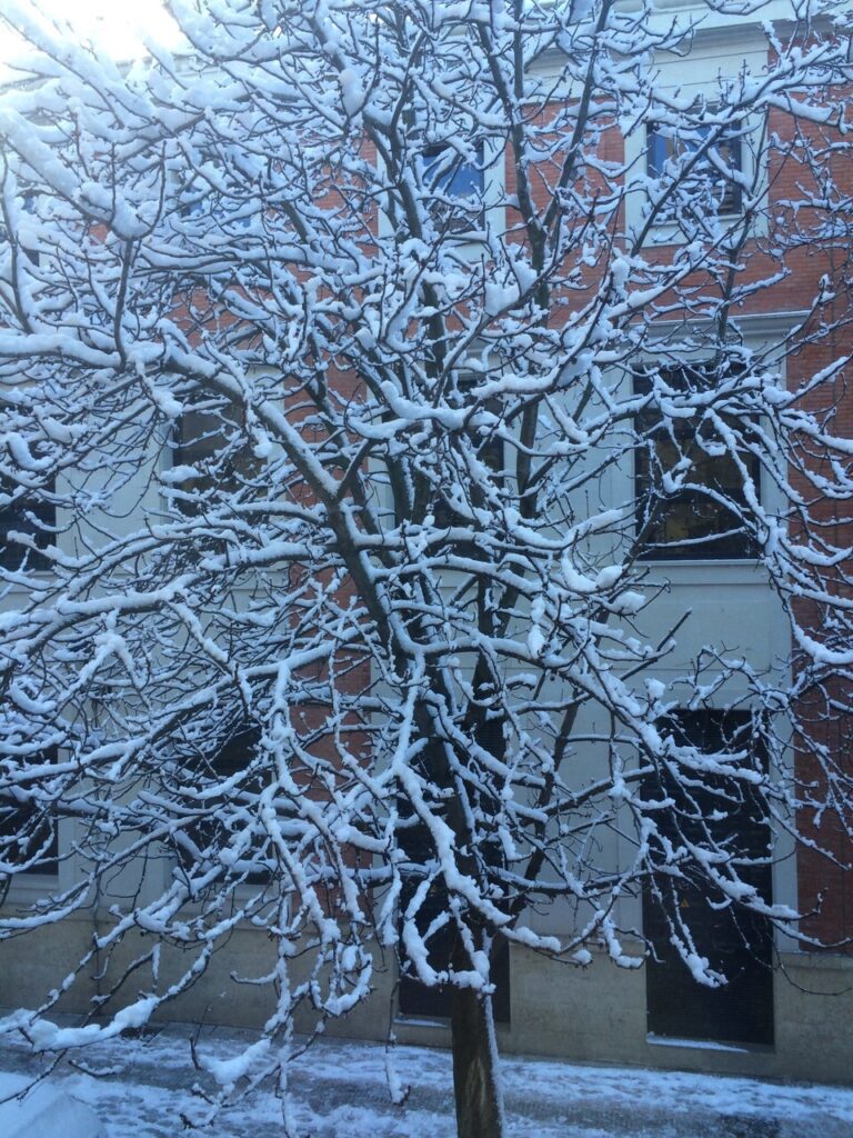 Cuenca y Guadalajara, en riesgo amarillo este sábado por nieve