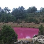 Confirman porque el agua del Lagunillo de las Tortugas en Cañada se puso de color rosa Lagunillo de las Tortugas en Cañada