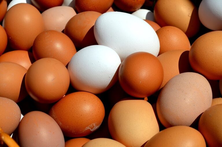 OCU denuncia que los huevos “camperos” ya no lo son y exige transparencia en el etiquetado