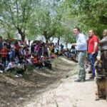 Este jueves se liberará en Almuradiel el último de los 14 ejemplares de lince ibérico de este año