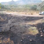 En lo que va de año, Ciudad Real ya registra 6 personas detenidas e investigadas por provocar incendios forestales