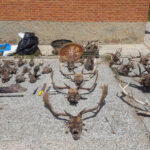 Detenido en la provincia de Ciudad Real por cazar sin permiso y por posesión de marihuana