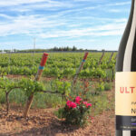 Ulterior Parcela 17, de Bodegas Verum, recibe la Medalla de Oro al mejor graciano del mundo