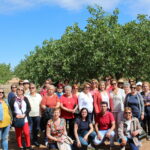 Una delegación de AMFAR Valencia visita Ciudad Real y Toledo para conocer el cultivo del pistacho