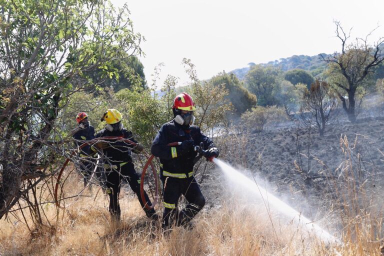 Declarado un fuego en Elche y Villarrubia de los Ojos y dan por controlado el de Hellín y Casar de Escalona