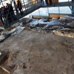 Noheda será la sede de las VIII Jornadas Romanas, abierta al público permanentemente