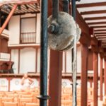 Las 42 Jornadas de Teatro Clásico de Almagro organizadas por la UCLM comienzan este miércoles