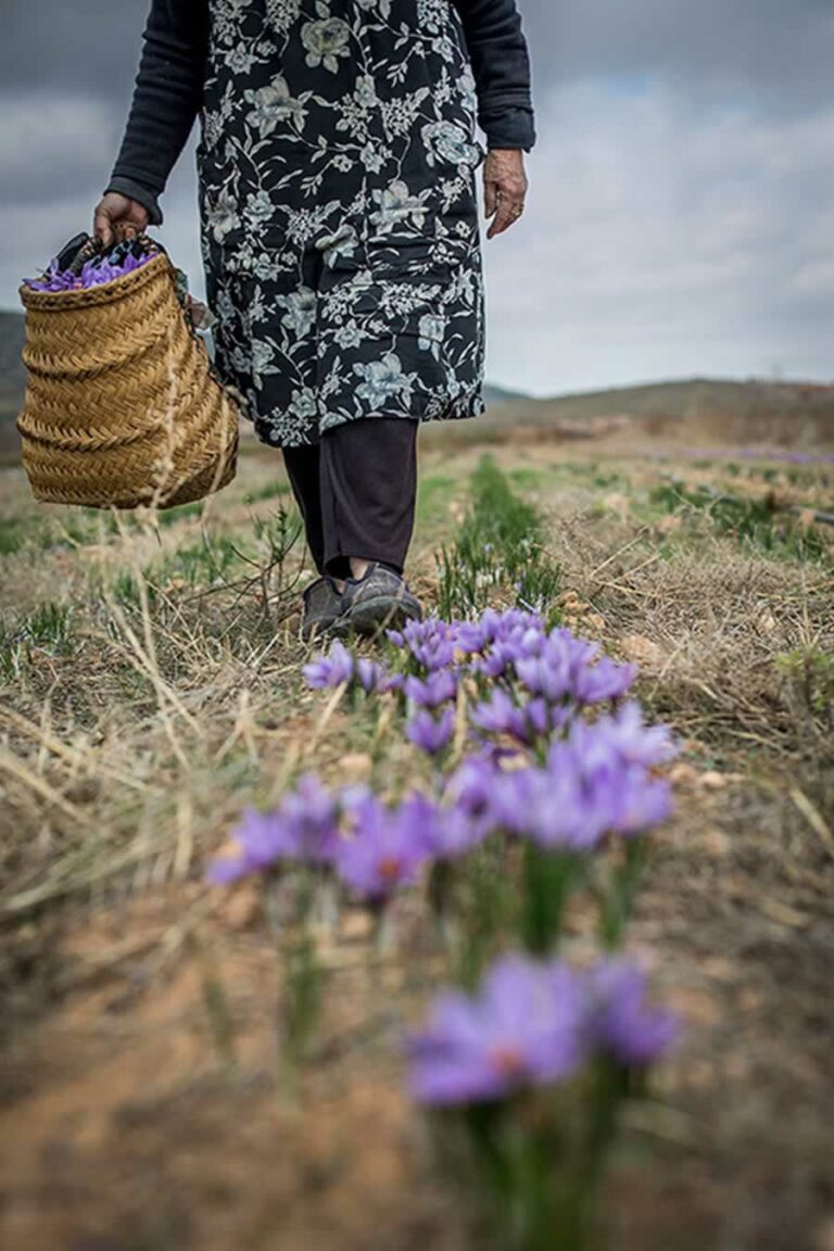 Un concurso de fotografía para luchar contra el despoblamiento: ‘Foto Rural 19’
