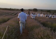 El Gobierno regional apuesta por el cultivo de las aromáticas para el desarrollo de La Alcarria