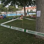 La plaga de la piscina municipal de Manzanares, prácticamente erradicada según Díaz