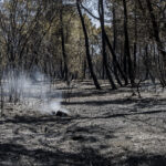 Reducido el dispositivo en el incendio de Barchín del Hoyo tras estabilizarse